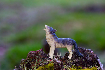 a toy photographer takes pictures of a toy animals