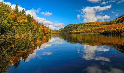 Obraz premium Panorama wspaniałego lasu jesienią, malowniczy krajobraz z przyjemnym ciepłym słońcem.