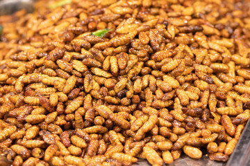Soft Fried or pupae, silkworms. Fried Insect, pupae the food very famous, street food in Thailand