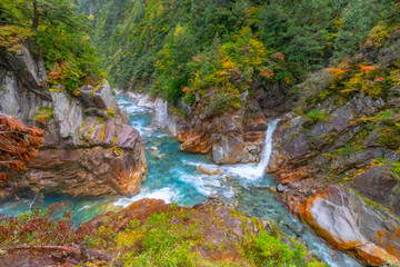 渓谷の秋