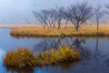 赤城山朝霧の覚満渕に映る紅葉