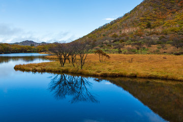 赤城山朝霧の覚満渕に映る紅葉