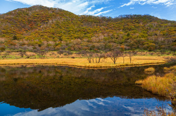 赤城山朝霧の覚満渕に映る紅葉