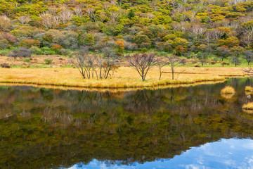 赤城山朝霧の覚満渕に映る紅葉