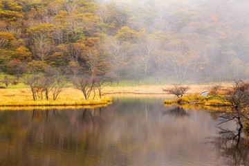 赤城山朝霧の覚満渕に映る紅葉