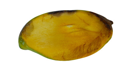 Bad mango on a white background Clipping path                              