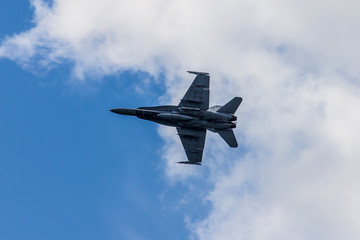 Toronto International Air Show 08/30/2019