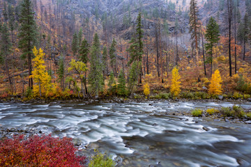 WENATCHEE RIVER autumn landscape with river and trees