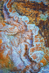 Mammoth Springs. Yellowstone National Park, Wyoming