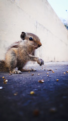 wonderful shot of creature