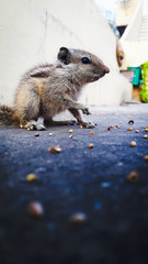 don't scare little baby