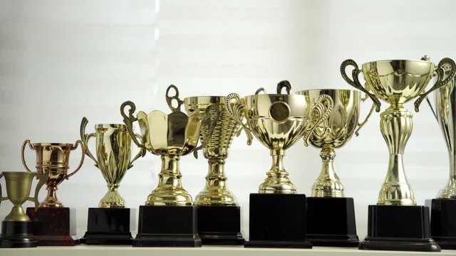 row of golden trophy by the window with paper blind