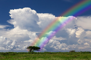 雨上がりの虹　沖縄の風景