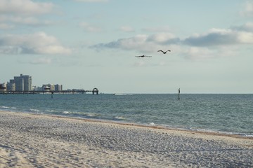 beach