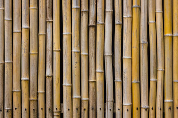 Texture of dry bamboo stems.