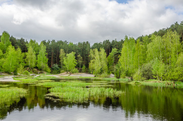 Fototapeta na wymiar Lake with forest.In summer, the pond is surrounded by birches and pines.