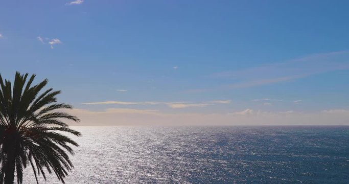 Ocean Sea Water Palm Peaceful Tropical Scene, with Sunlight Reflecting on Calm Waves and Clear Horizon, 4K Camera Video