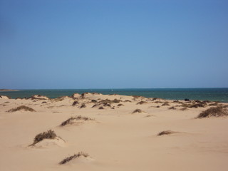Fototapeta na wymiar Jurabi Point Coastal Reserve Sand Dunes