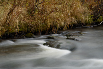 fast flowing river with rapids and grassy shore