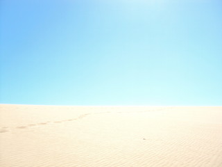 Fototapeta na wymiar Jurabi Point Coastal Reserve Sand Dunes