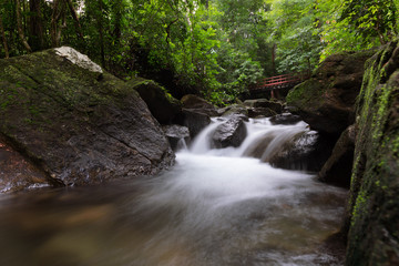 Fototapeta premium waterfall in the forest
