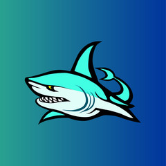 Shark Vector 