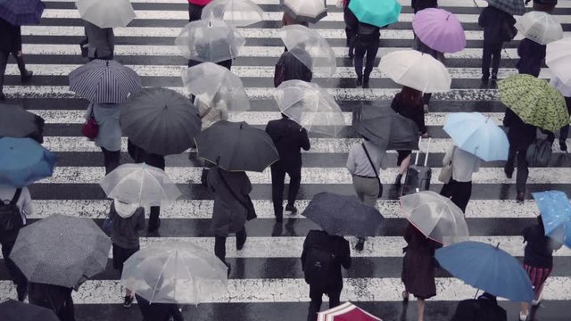 雨の中傘をさして出勤するビジネスマン
