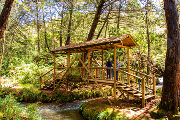 Naklejka premium Parque Arvi (Arví) in Santa Elena, Colombia