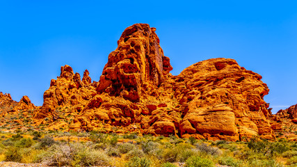 The erratic red Aztec Sandstone formation near the Arch Rock Campground under clear blue sky in the Valley of Fire State Park in Nevada, USA