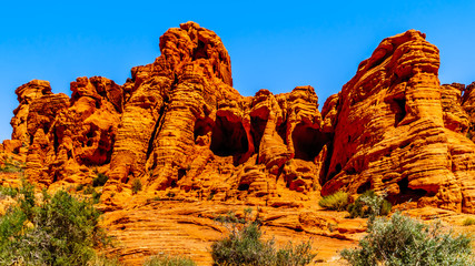 The erratic red Aztec Sandstone formation near the Arch Rock Campground under clear blue sky in the Valley of Fire State Park in Nevada, USA