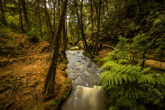 Parque Arvi (Arv&iacute;) in Santa Elena, Colombia