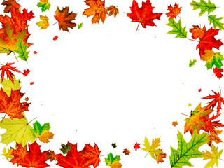 Naklejka na ściany i meble Autumn leaves white background. Falling November pattern. Thanksgiving season concept