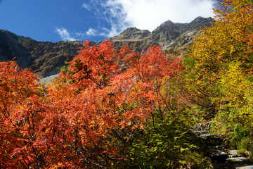 涸沢カールの紅葉