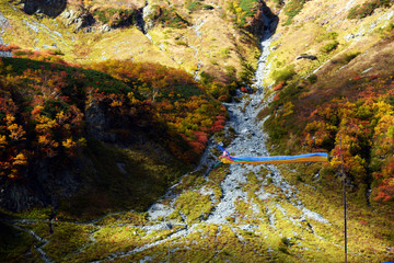 涸沢カールの紅葉