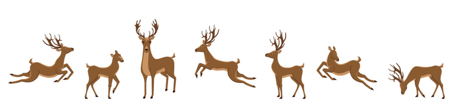 Set of Deers Isolated. Sika Deers, Reindeers, Stags
