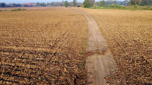Aerial view of a dirt road winding between arable fields.