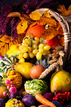 Cornocopia Bilder Durchsuchen 104 Archivfotos, und