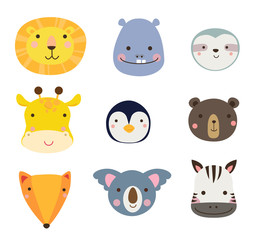 Group of animals collection