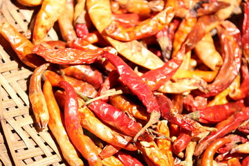 red chili 