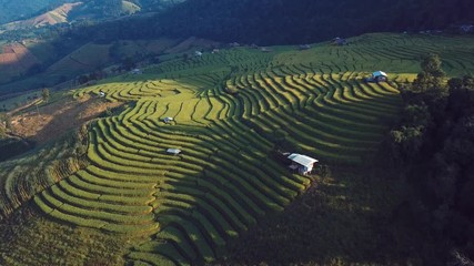 Rice terrace fields or Ladder rice field in aerial view at Pabongpeang , Maejam Village , Chaingmai Province of Thailand 