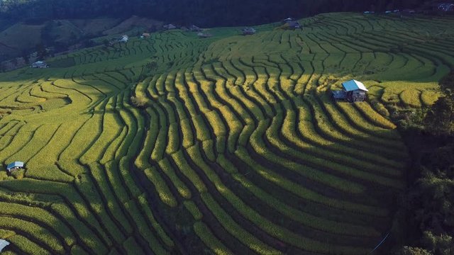 Rice terrace fields or Ladder rice field in aerial view at Pabongpeang , Maejam Village , Chaingmai Province of Thailand 