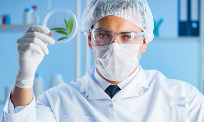 Naklejka premium Female scientist researcher conducting an experiment in a labora