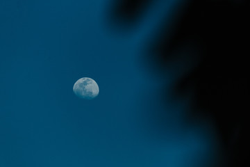 Obraz na płótnie Canvas Moon in the sky during night