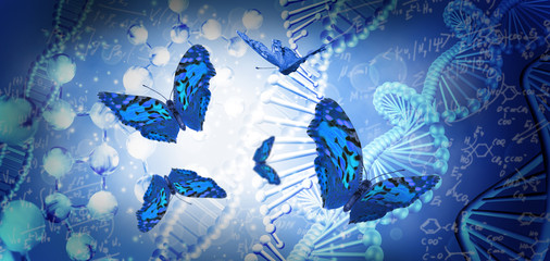 image of butterflies on dna chain background