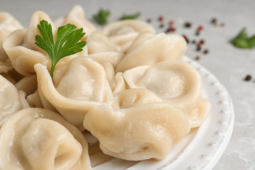 Tasty dumplings with parsley on plate, closeup view