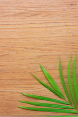 Green coconut leave on the brown wooden,palm trees with long leaves Green .
