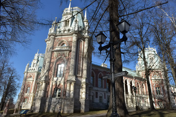 Obraz premium Tsaritsyno park and tower buildings