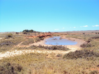 T-Bone Bay - Ningaloo Marine Park