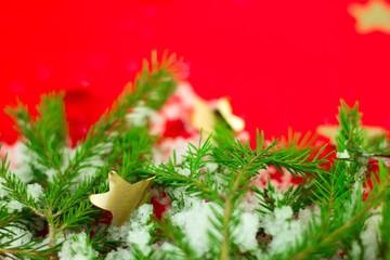 selective focus evergreen christmas tree branches covered with snow on a blurred red background with free space for text