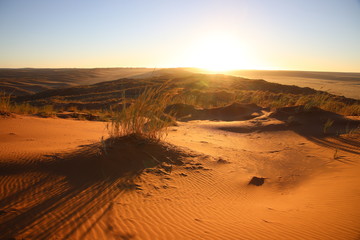 Sand dunes in Namib Desert in Namibia